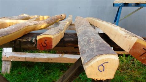 Pre-glued Tri Laminate <b>Bow</b> <b>Stave</b> so you can make you're. . Yew bow staves for sale